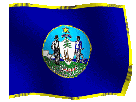 marsh flag